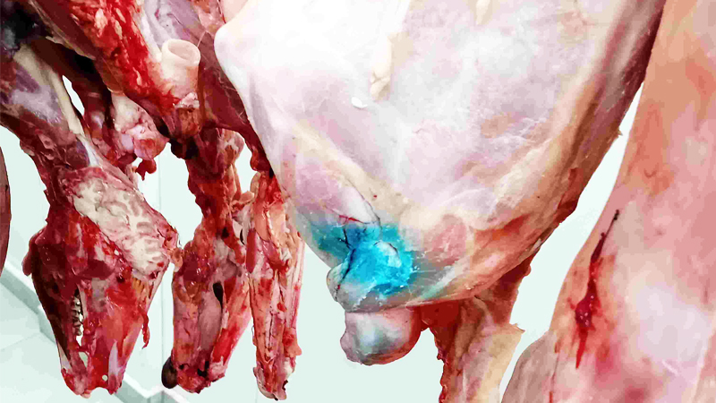 Χιλιάδες έλεγχοι στην αγορά για την προστασία των καταναλωτών