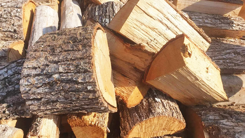 kausoksila-apo-ton-dhmo-neas-iwnias