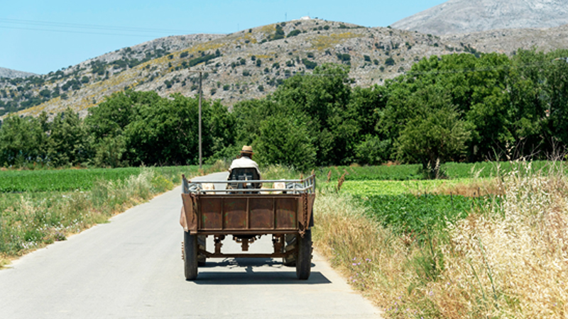 Αρχισαν οι πληρωμές στους αγρότες από τον ΟΠΕΚΕΠΕ