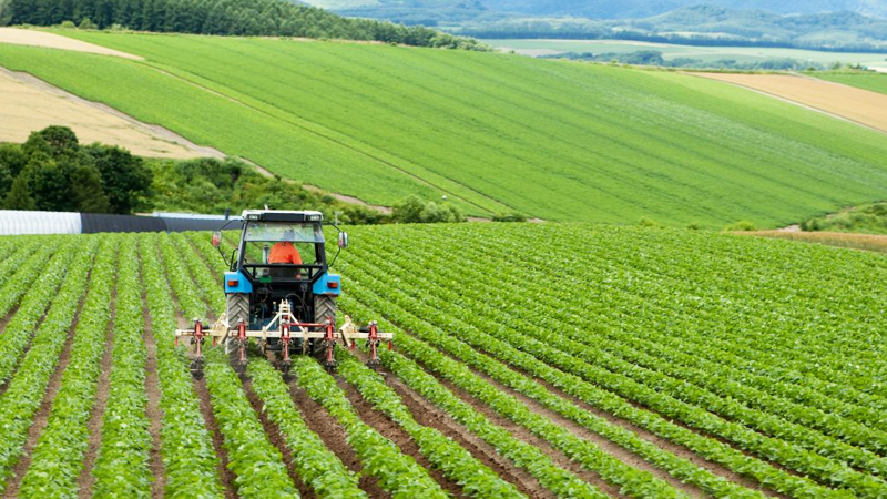 Σύσταση ομάδων ελέγχου για έργα του Ταμείου Ανάκαμψης στον αγροτικό τομέα