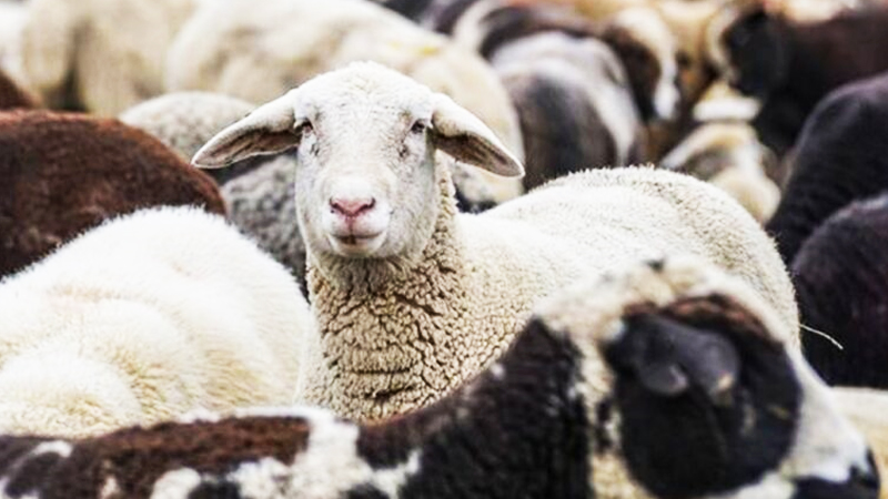 «Αγώνας δρόμου» για το Πάσχα